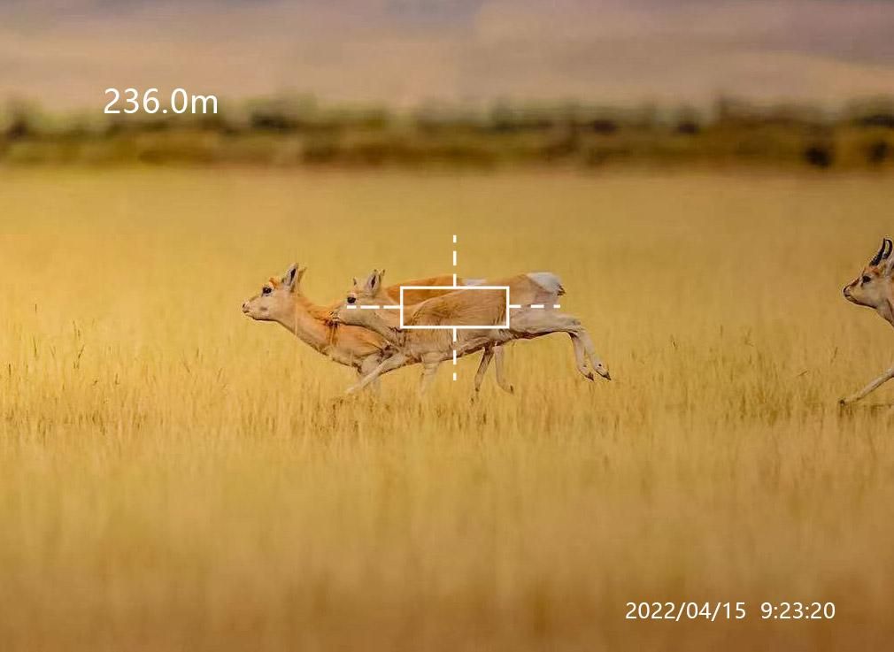 夜视仪十字瞄前置后置区别,夜视仪带测距测评