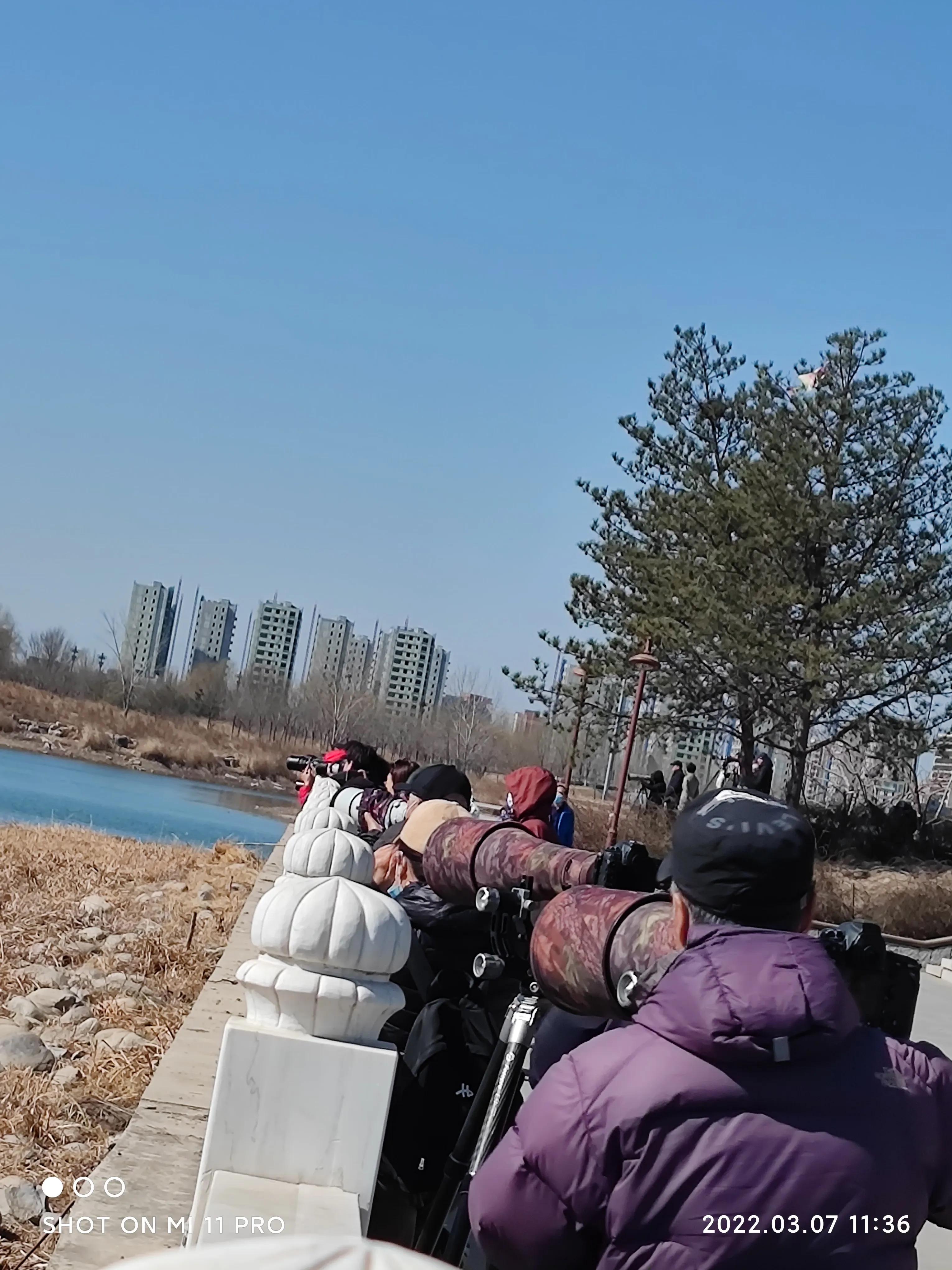 北征北纬南征南纬,北征南战全文