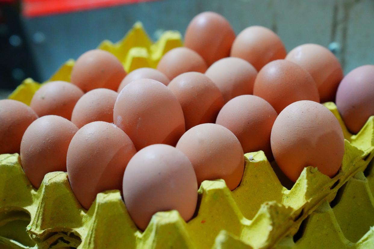 建德刀笃菜,倒笃菜是建德非遗吗