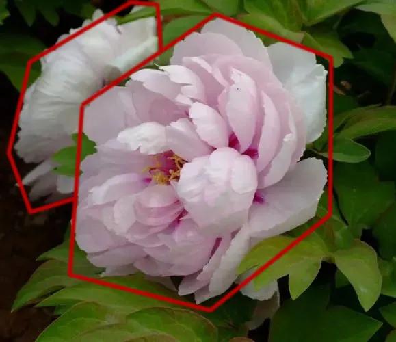 画侧面的两种方法,画准确线稿