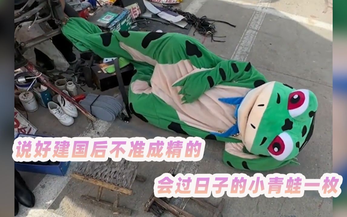 卖崽青蛙赚不赚钱,卖崽青蛙原创