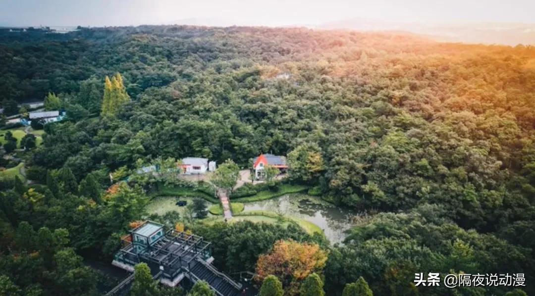 非去不可的理由有哪些,非去一个地方不可的理由