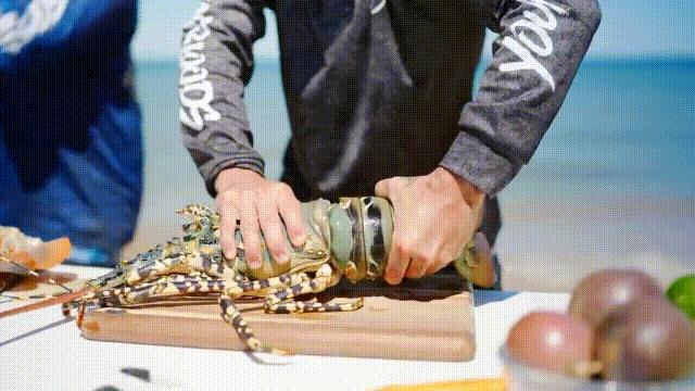 龙虾青龙和花龙区别,龙虾也是生物为什么我们要吃它