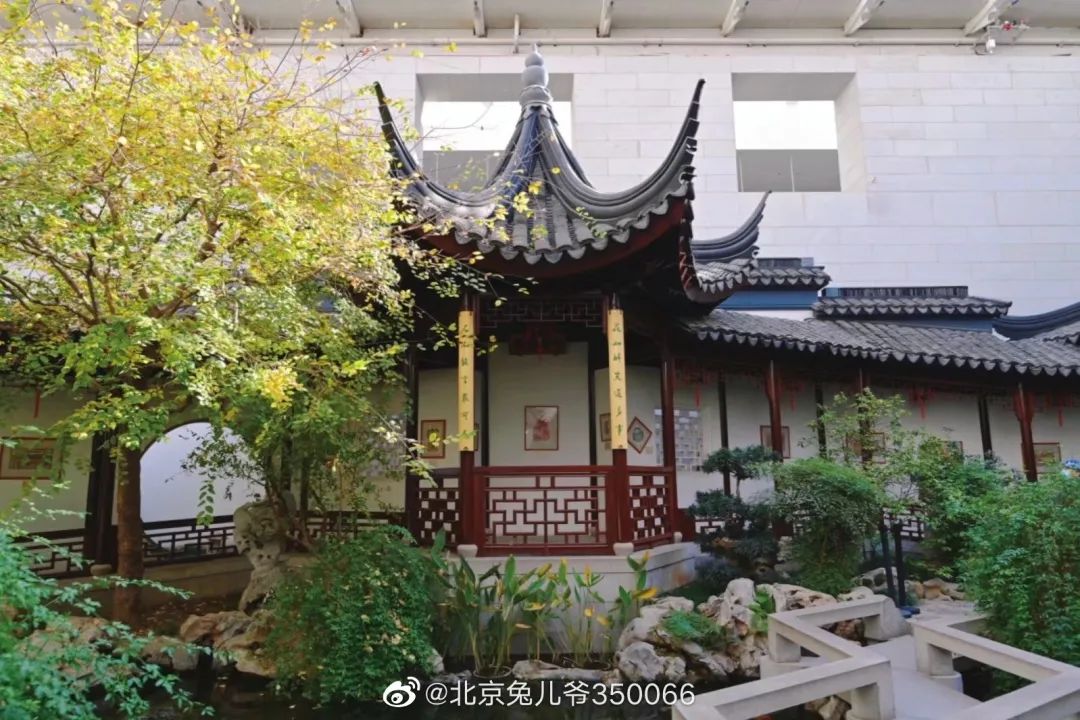 北京植物园的赏花的最好时节,西山秘境惊艳北京的植物