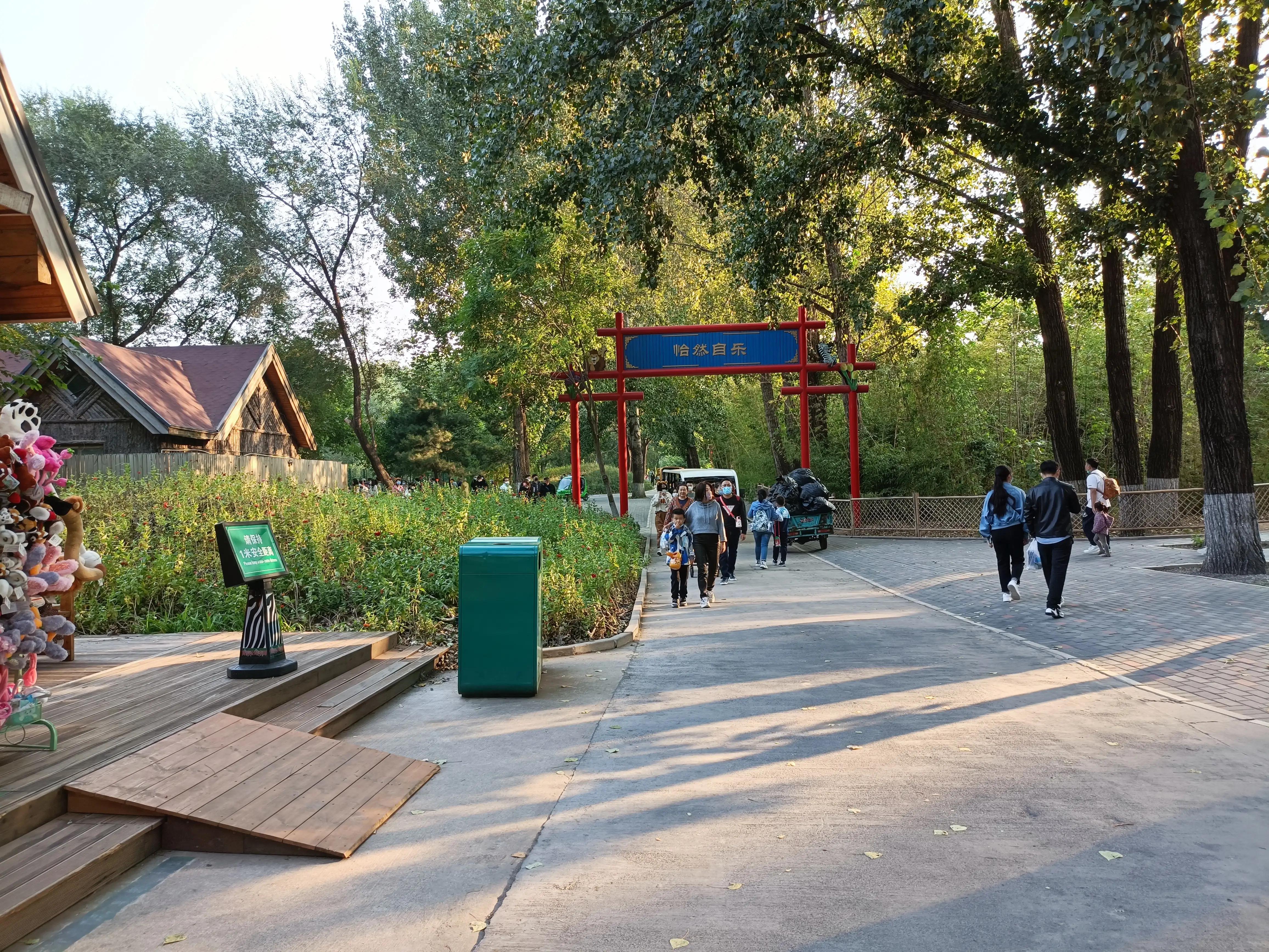 北京动物园和北京野生动物园区别,北京野生动物园狗妈妈和老虎狮子