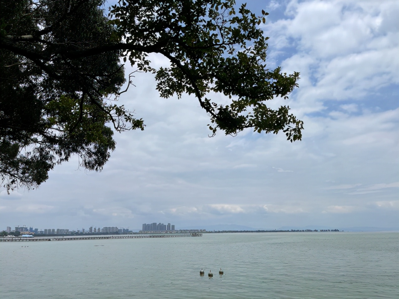 昆明一座让人流连忘返的城市,被低估的旅游城市昆明