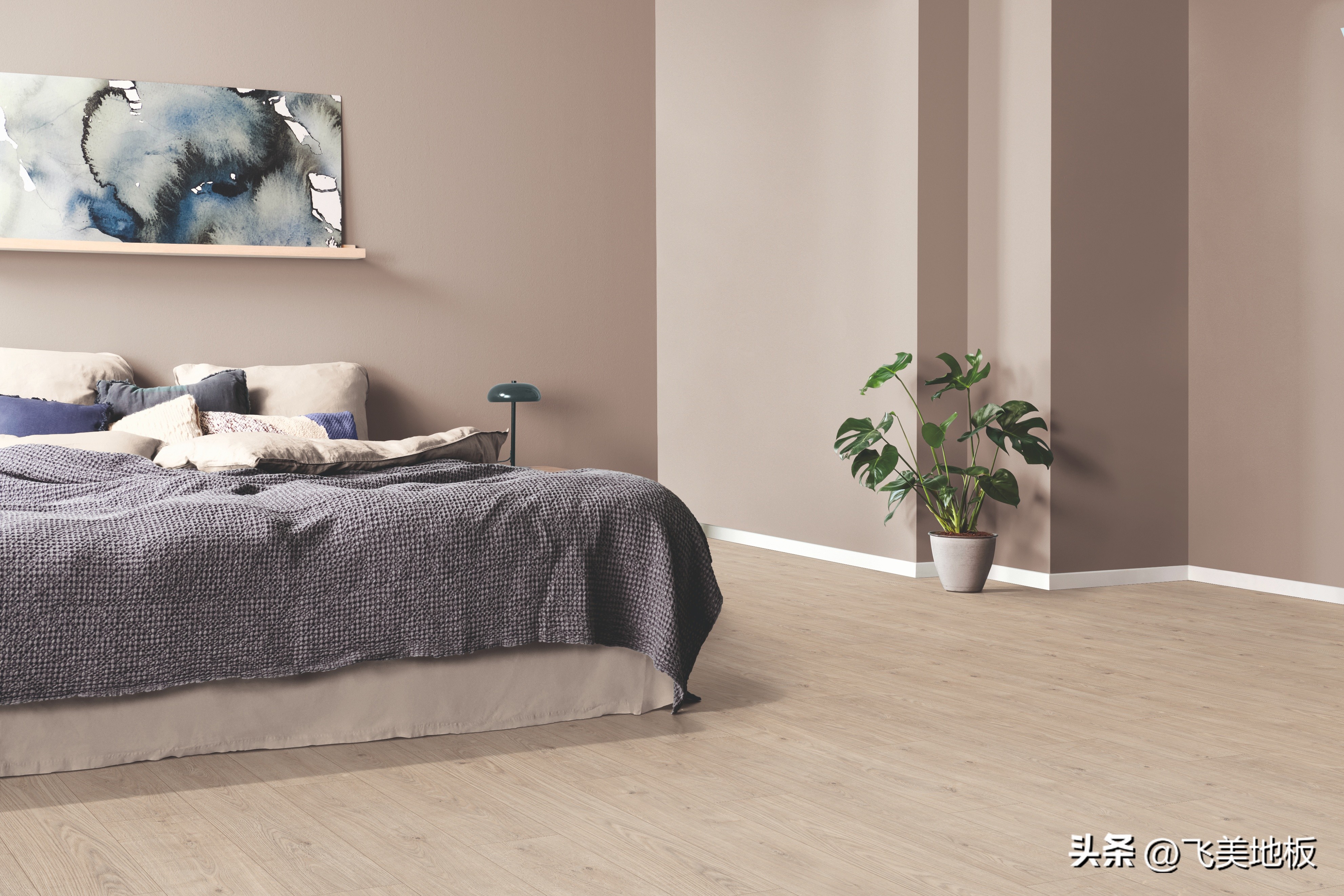 飞美爱格投影,飞美爱格是真的吗