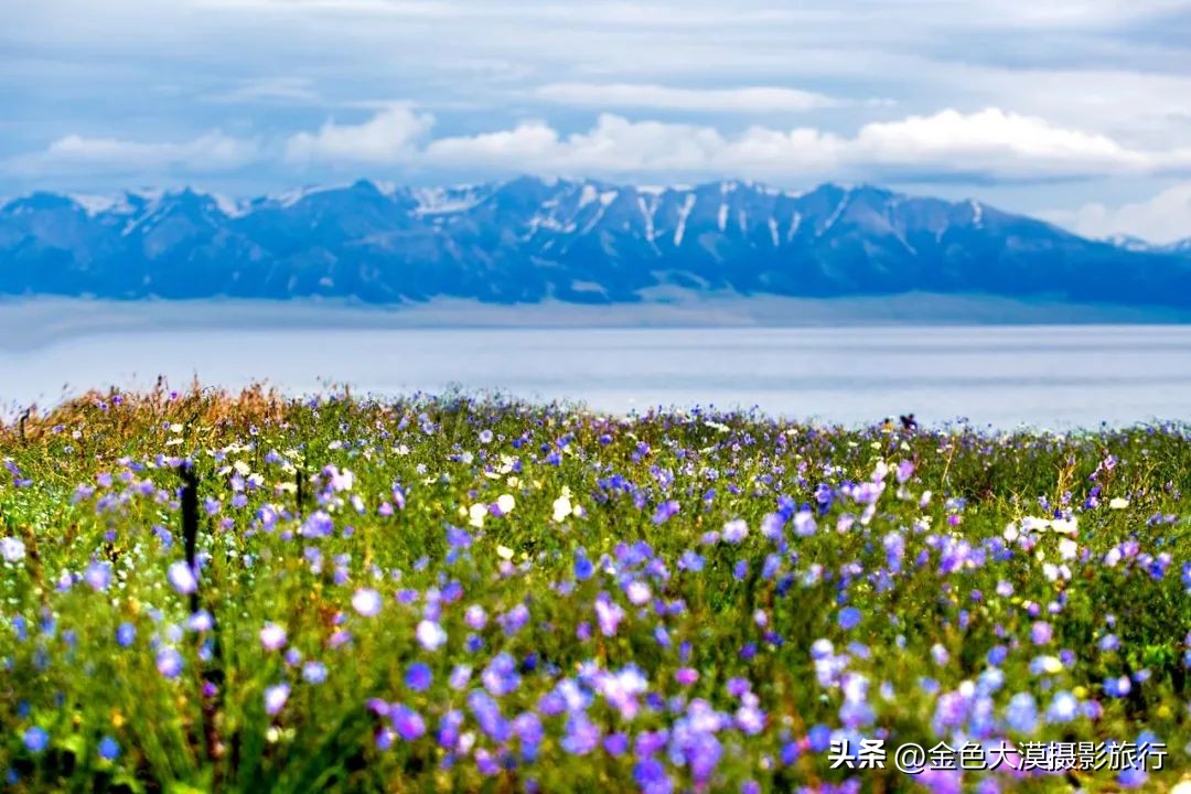 新疆的北疆南疆伊犁哪个最好玩,新疆的伊犁旅游区