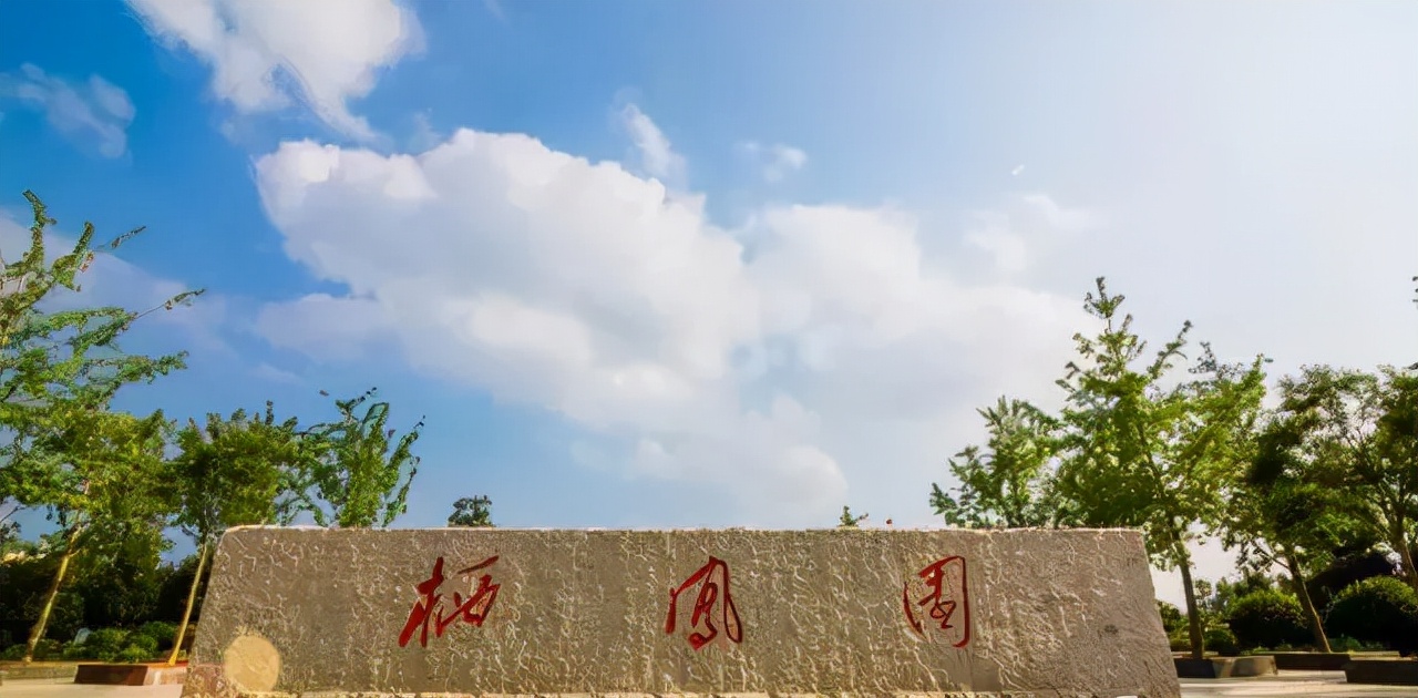 在丰县，也有堪比一线城市，领先城市“10年”的好户型