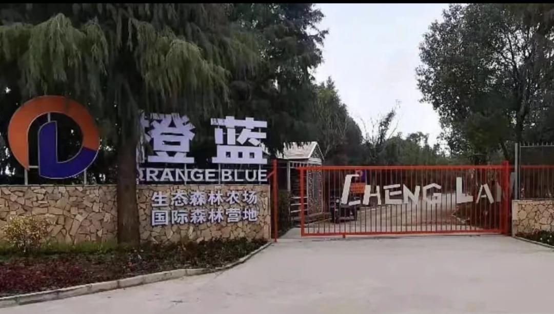 迎春消费月启动,迎春惠民消费节活动宣传