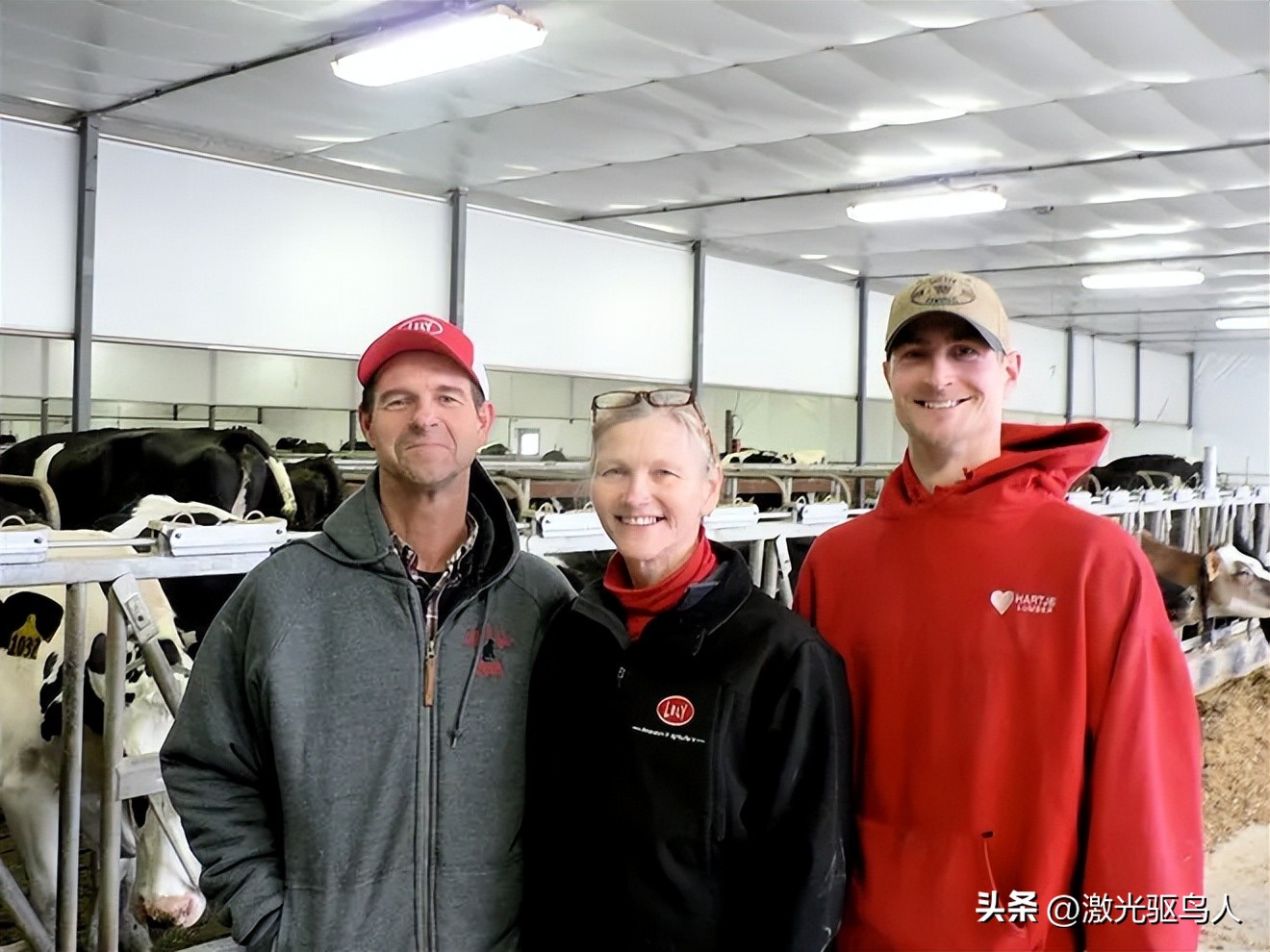 为什么你会选择这个岗位,奶牛场有啥工作好做