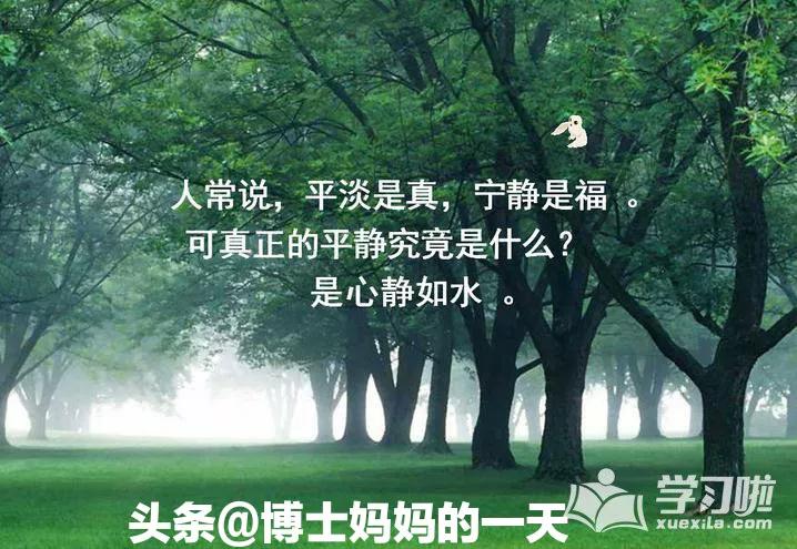 顺其自然简简单单平平淡淡,简简单单平平淡淡愿一切安好