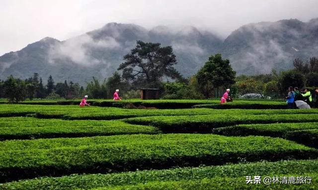 这座物美价廉的慢城，气候比昆明还舒适！夏季凉爽，生活安逸