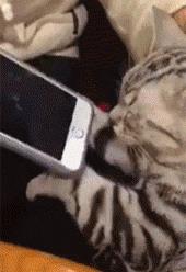 塞进去容易拔出来难,妹子着急死了哈哈哈哈哈哈！真的尴尬啊