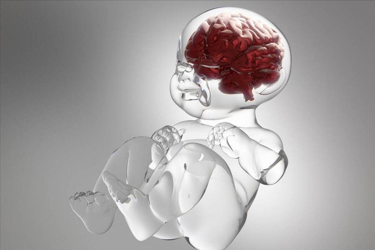 婴儿视觉发育最佳方法,婴儿头几个月发育最好