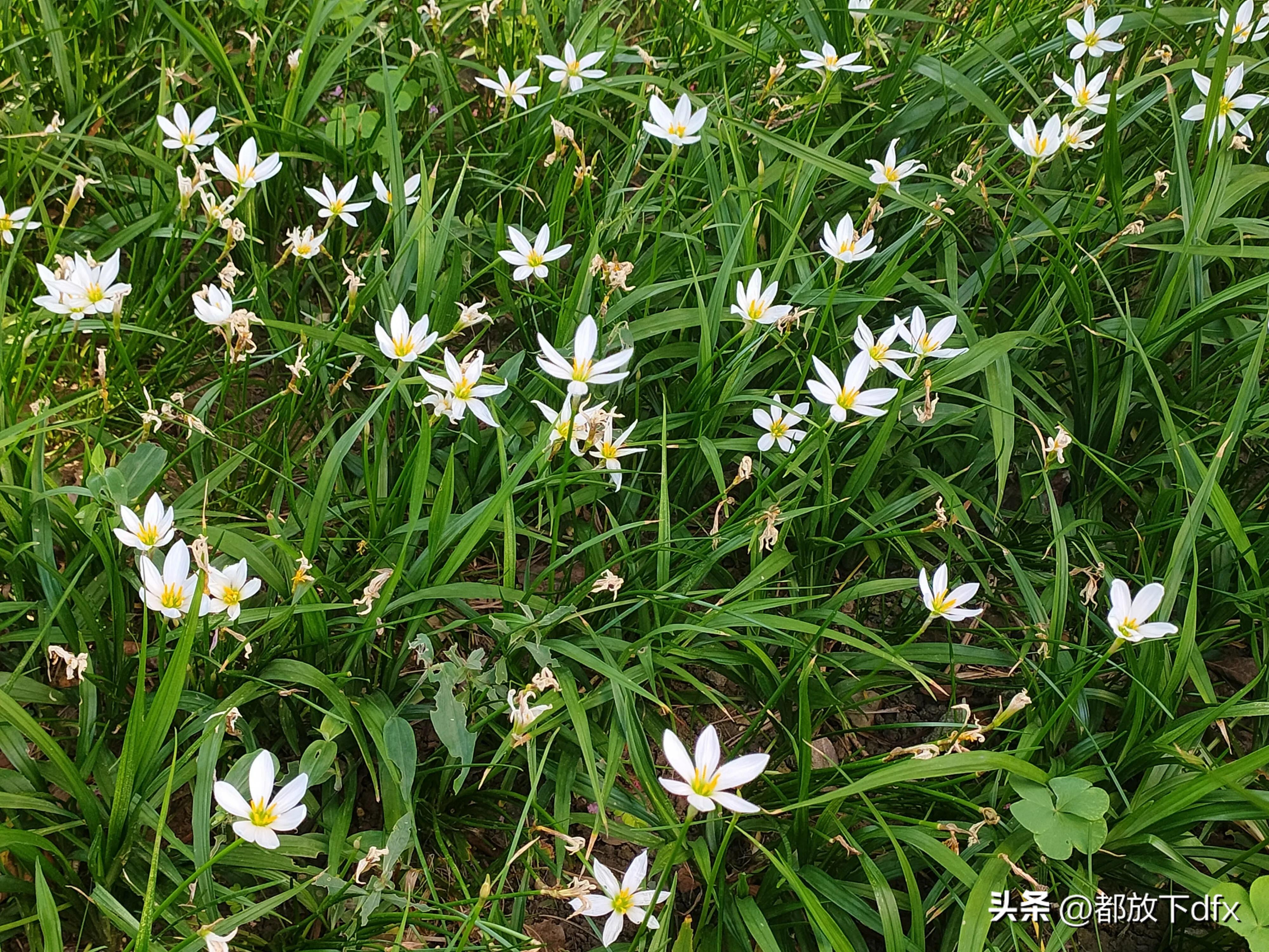 分道扬镳,各走各的路,也挺好的