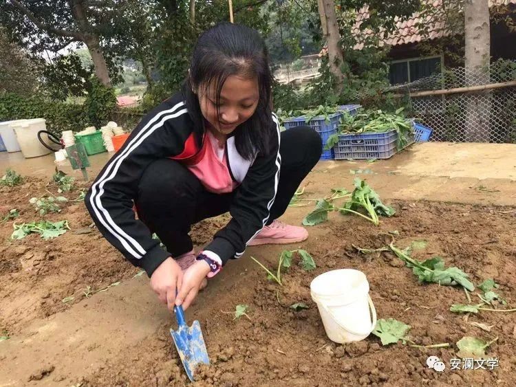 轻舟已过万重山三喜爷爷,轻舟已过万重山全文解释