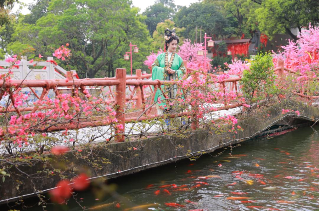 观音山森林公园停车攻略,自驾观音山停车