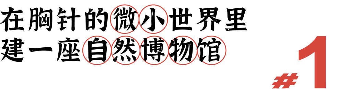 从淘宝到专卖店,从淘宝进一淘