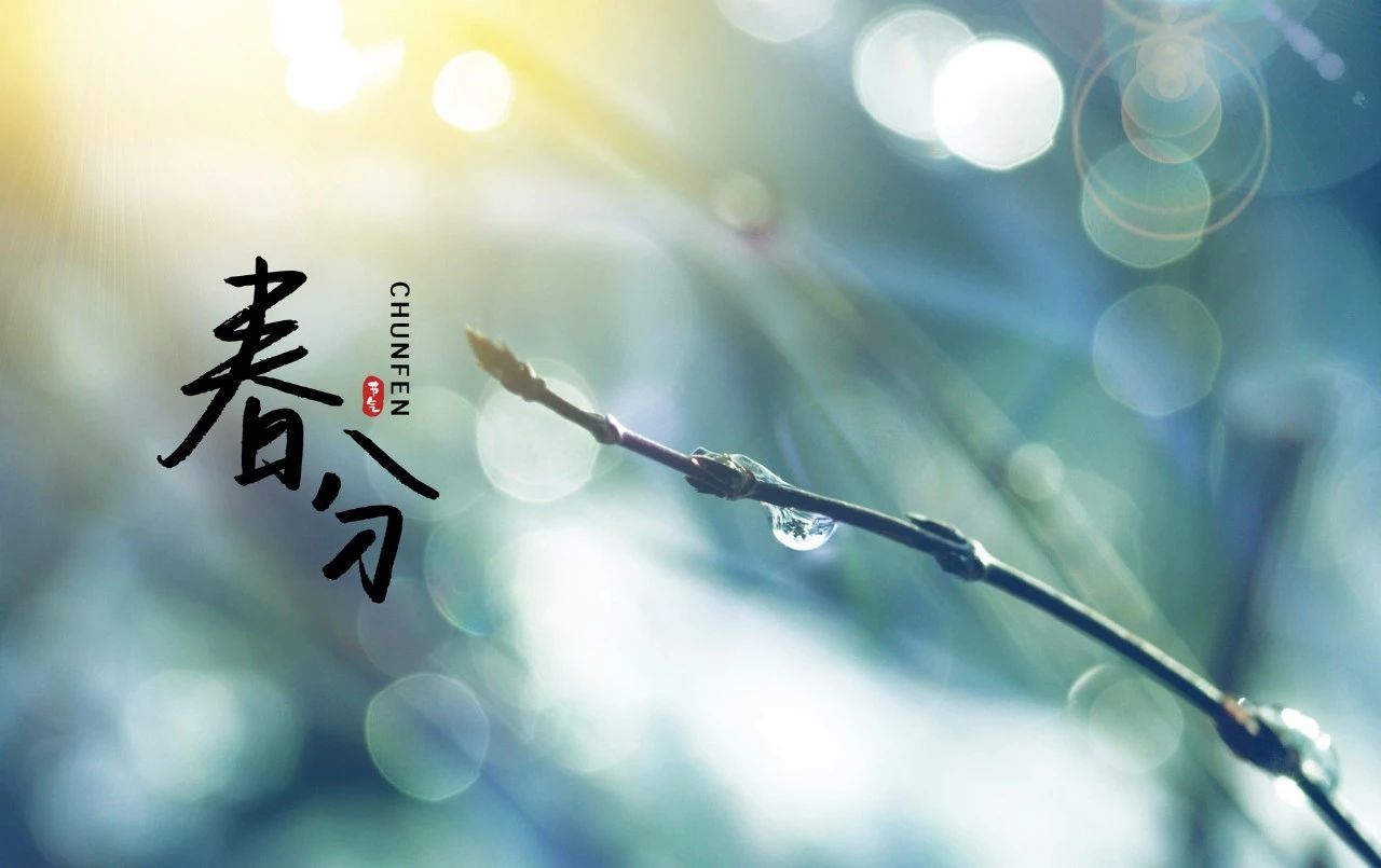 关于春分的诗词精选16首,6首最美春分诗词