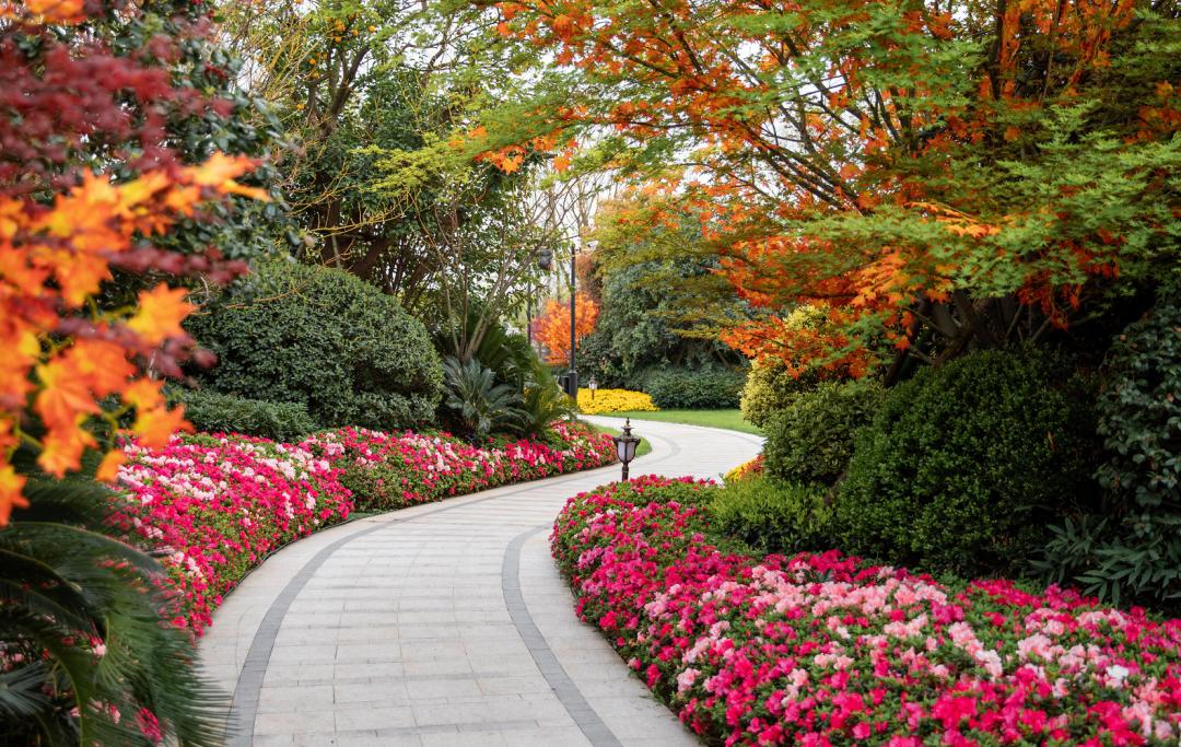 恒大首府视频,恒大首府高层户型图