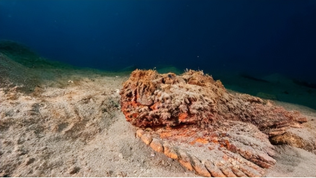 比巨齿鲨更恐怖的十种海怪,比巨齿鲨可怕的六种海怪