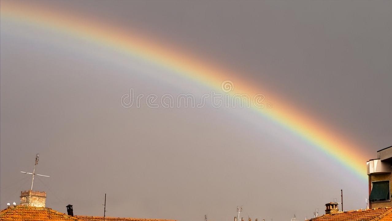 天道酬勤：用努力谱写绝地反击的故事