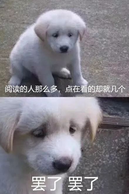 “曝光朋友圈代购聊天记录！！”哈哈哈哈哈哈这是什么社死现场啊