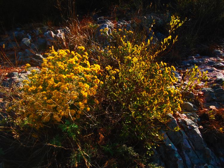 旅顺城山,旅顺城山怎么绕过去