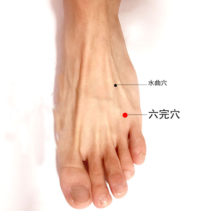 泌尿系疾病针灸,泌尿系统感染针灸哪里最有效