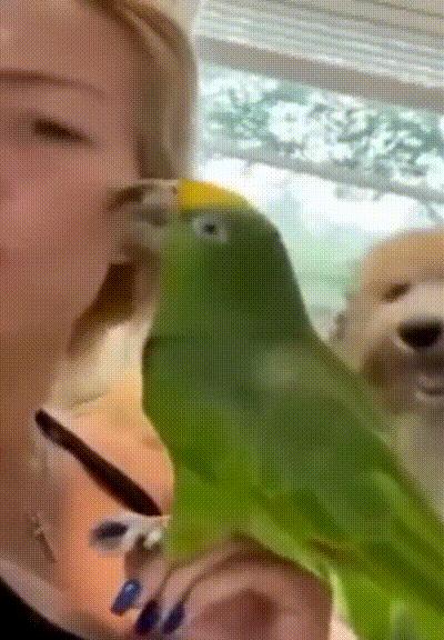 当初不顾家人反对段子,和老婆相亲的幽默段子搞笑