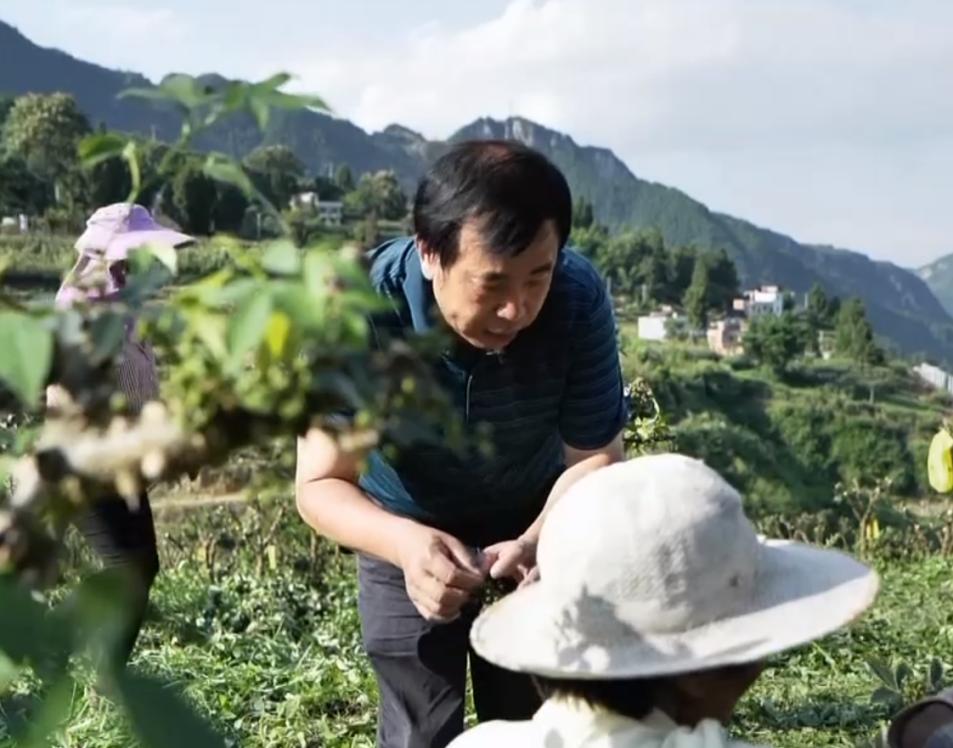 废旧物变废为宝加工,变废为宝致富商机