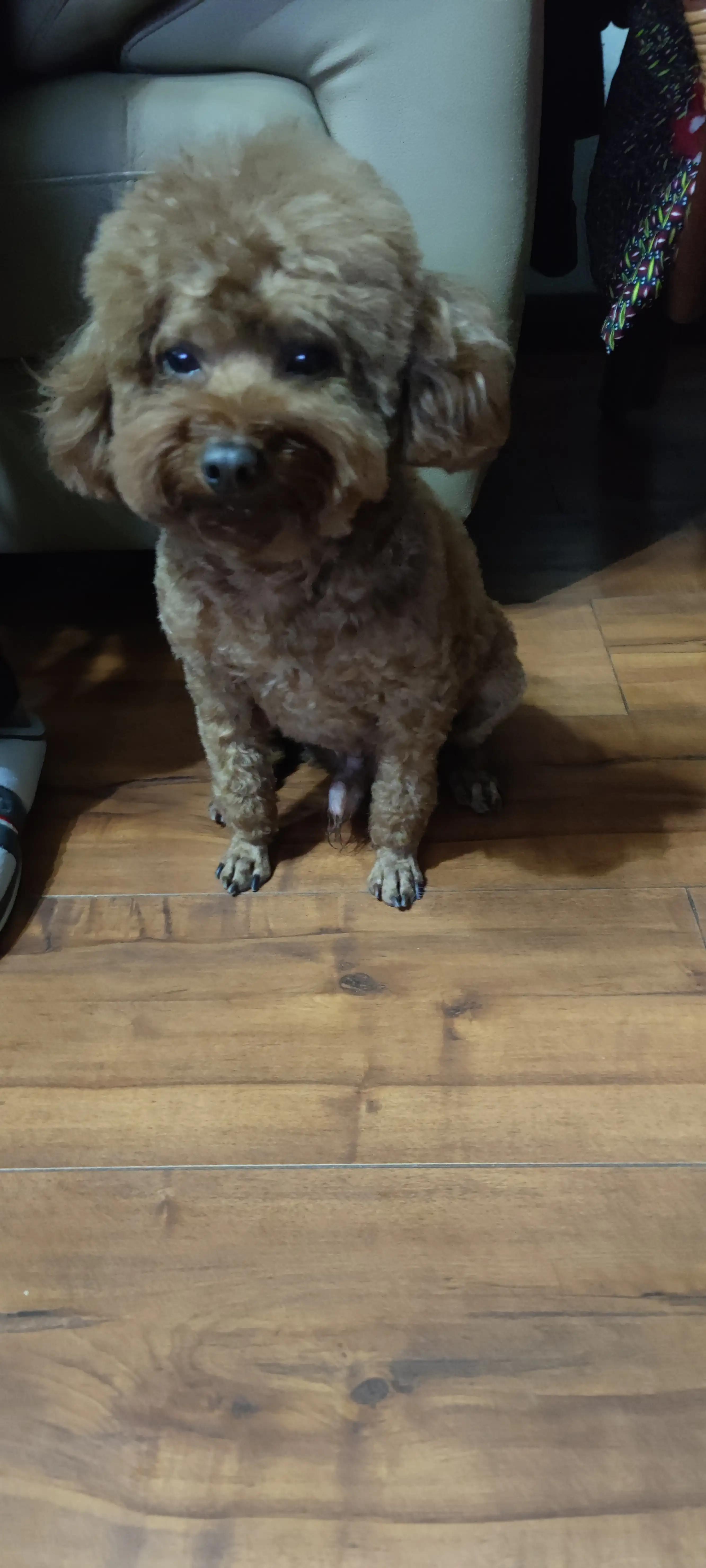 一个人该怎么规划自己的人生,重新开始一段自己的人生规划