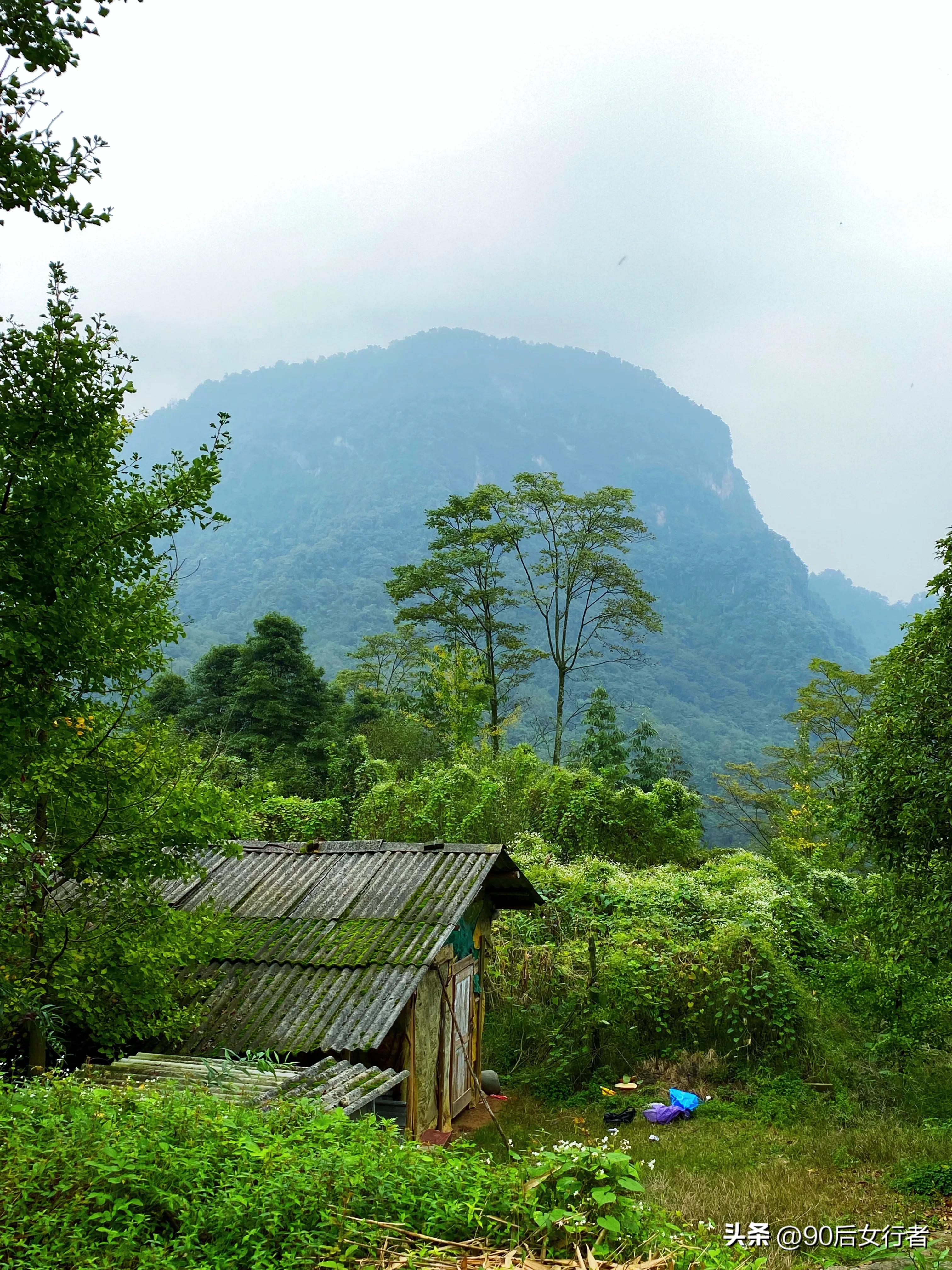 走进山间的小路感受大自然,成都深山老林旅游最好去处