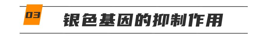 基因克隆最新突破,基因最新突破