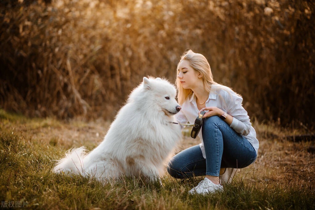孕妇湿疹跟养狗有关系吗,湿疹养狗