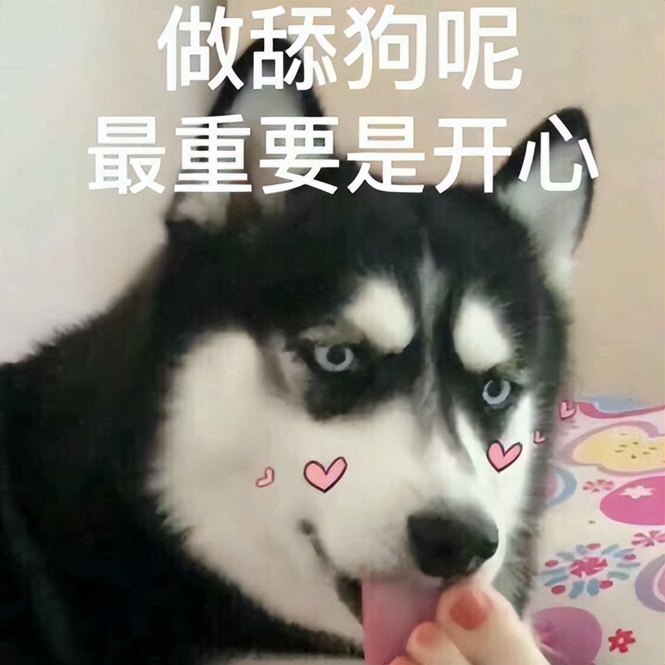 苹果13小技巧隐藏功能,苹果11promax怎么隐藏软件