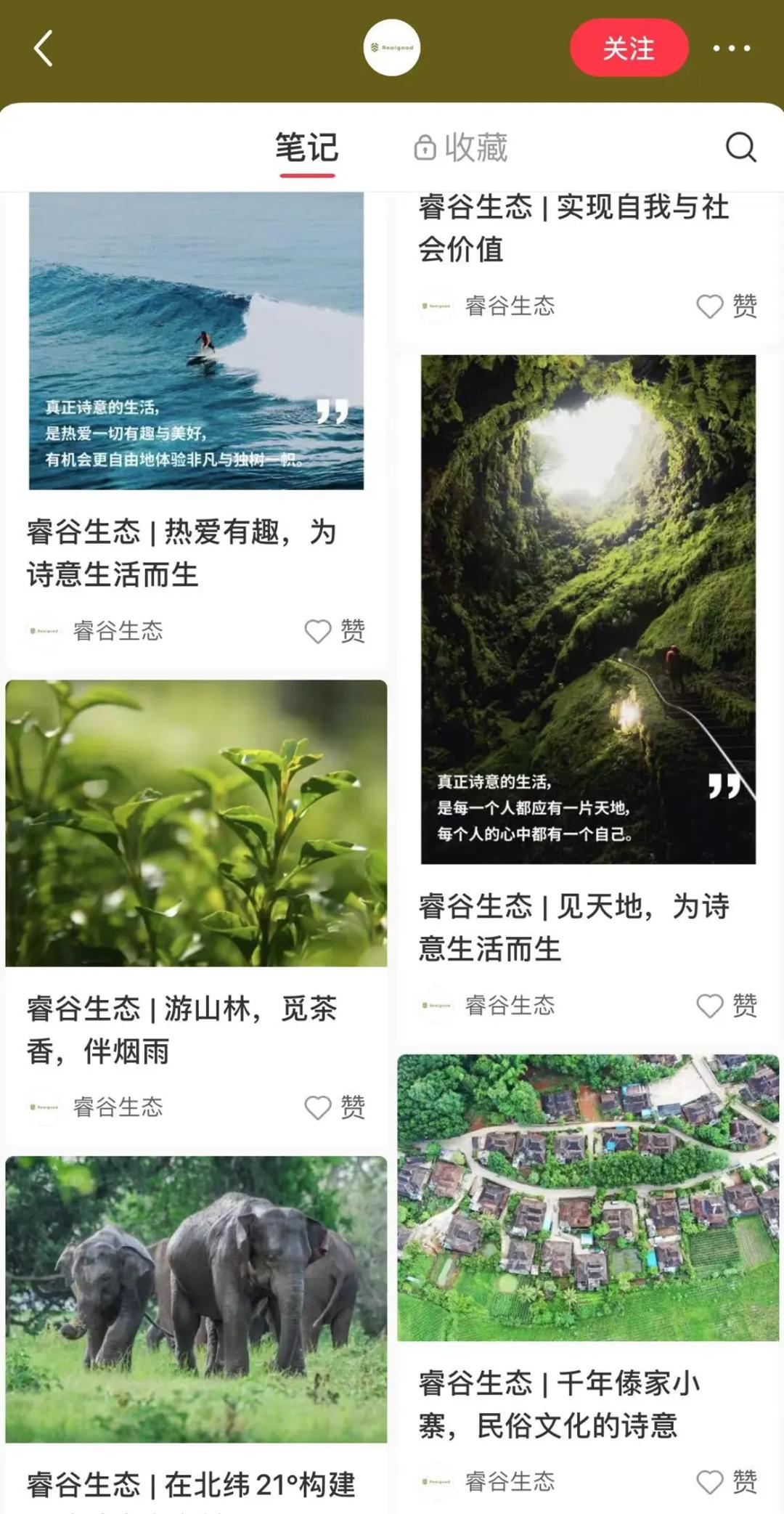 大道恒美×睿谷生态：大品牌战略，赋新生活方式营销