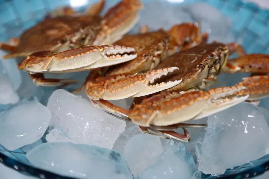 扁蟹的市场销售价格,扁蟹出口哪个国家