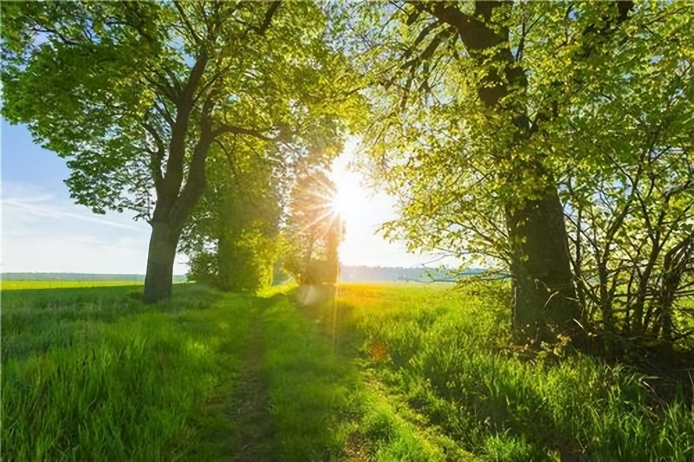 20年前卖房创业,创业5年前30万把房子卖了