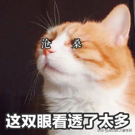 考研复习不完如何摆平心态,考研拖延