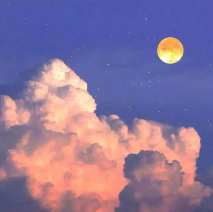 让人忍不住评论的文案搞笑,让人忍不住评论的文案短句