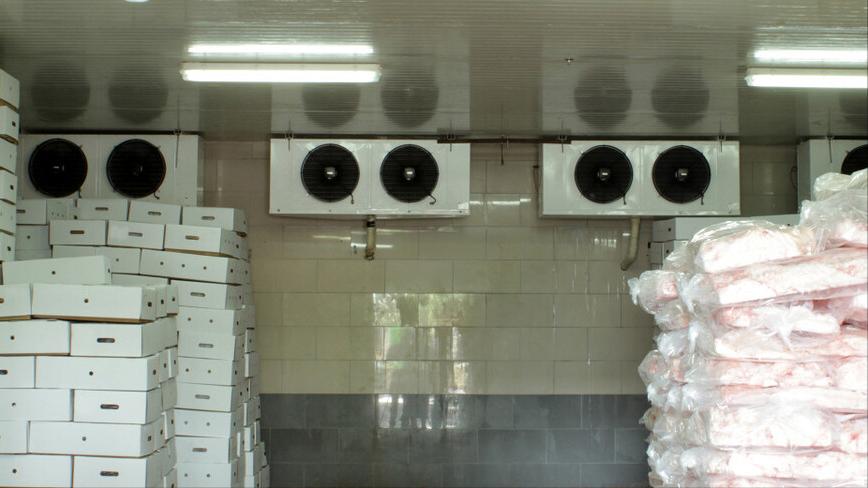 农村小型冷库一年能赚多少钱,农村建冷库市场前景