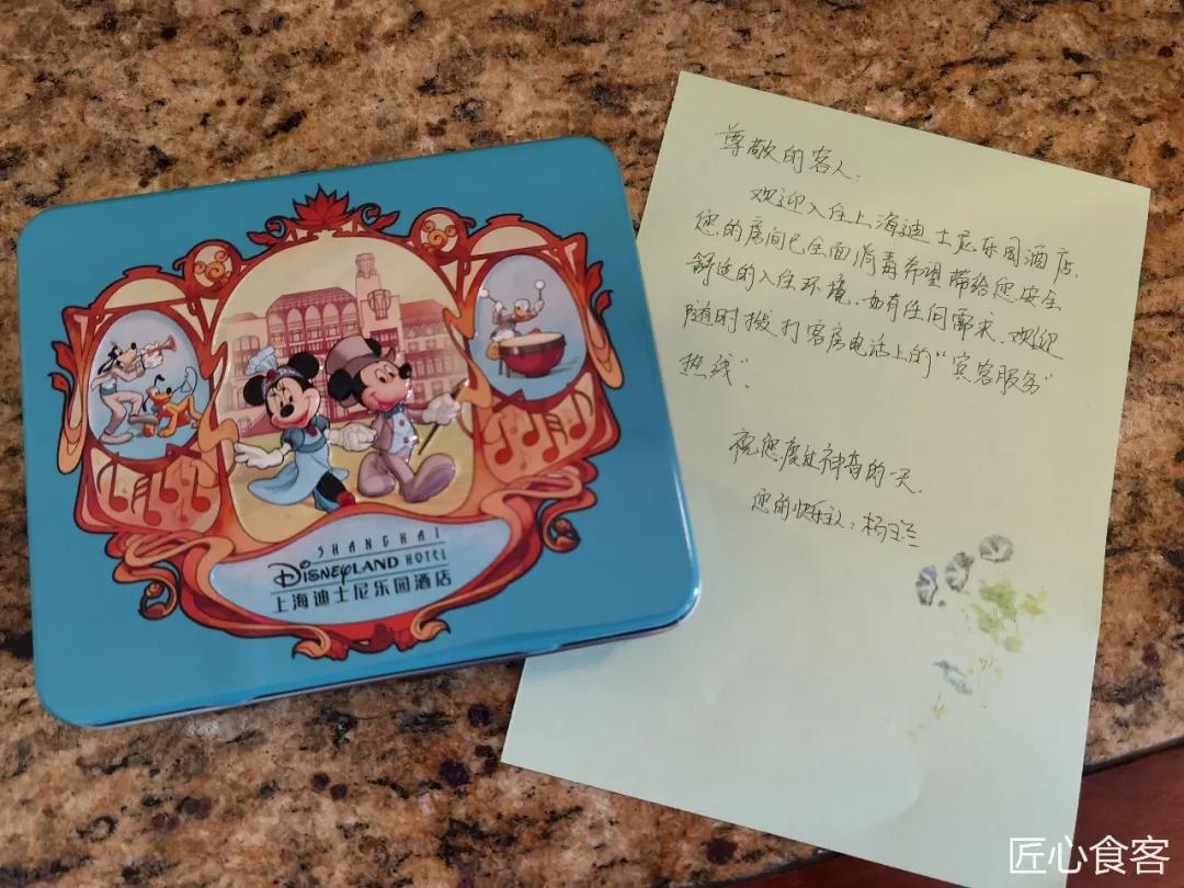 上海迪士尼乐园住宿哪家便宜,上海迪士尼乐园保姆级游玩攻略