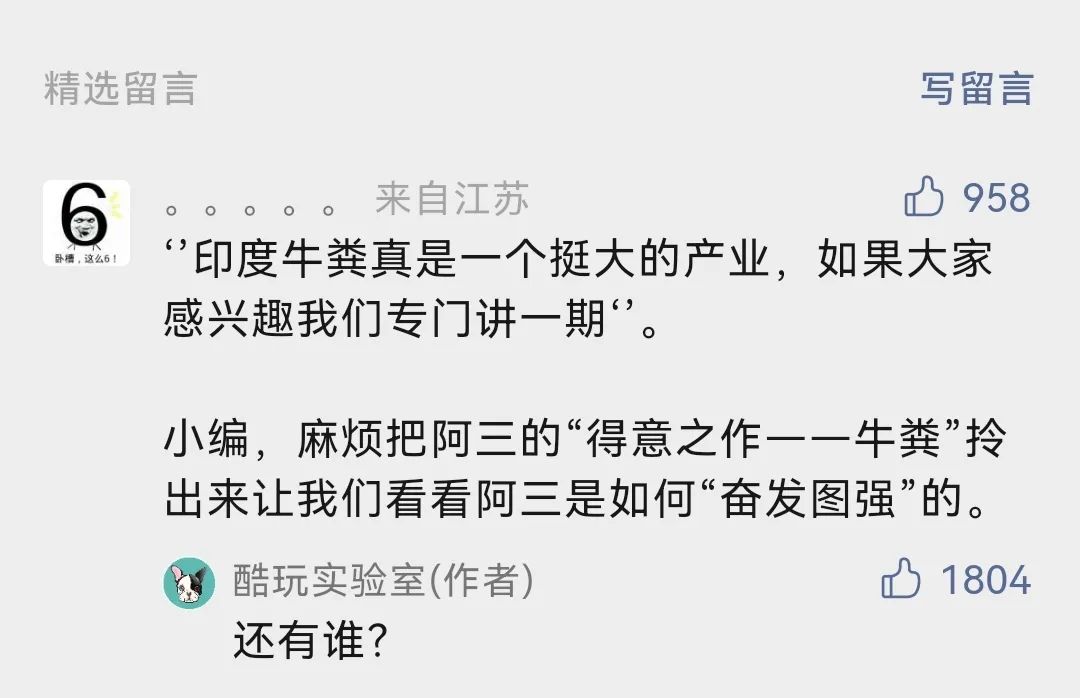 印度牛粪是第几产业,外国人看印度牛粪产业