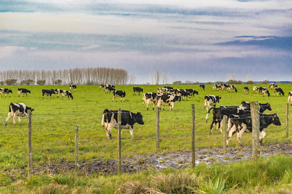 乌拉圭靠港，船员鉴别女人单身有方法，当地的亲身经历让人很满意