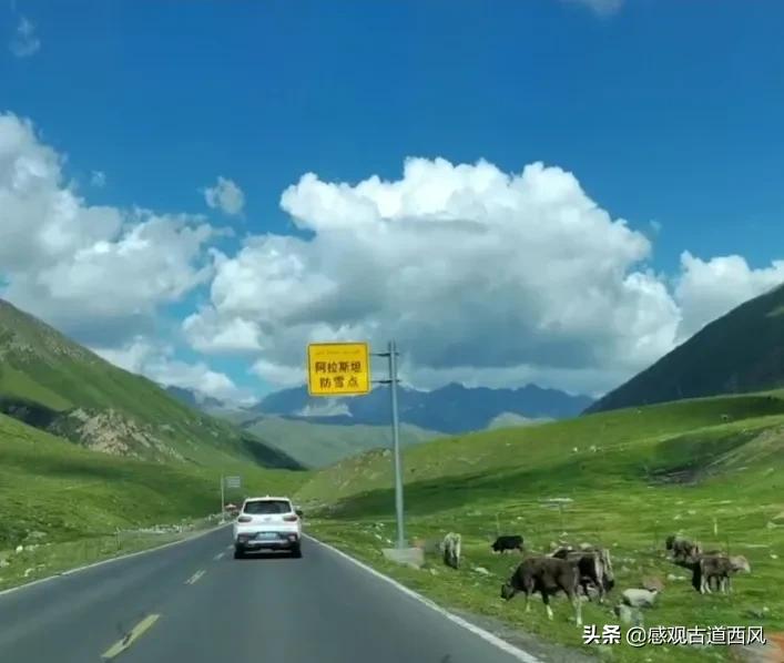 北疆自由行10日游,北疆十天九夜旅行线路