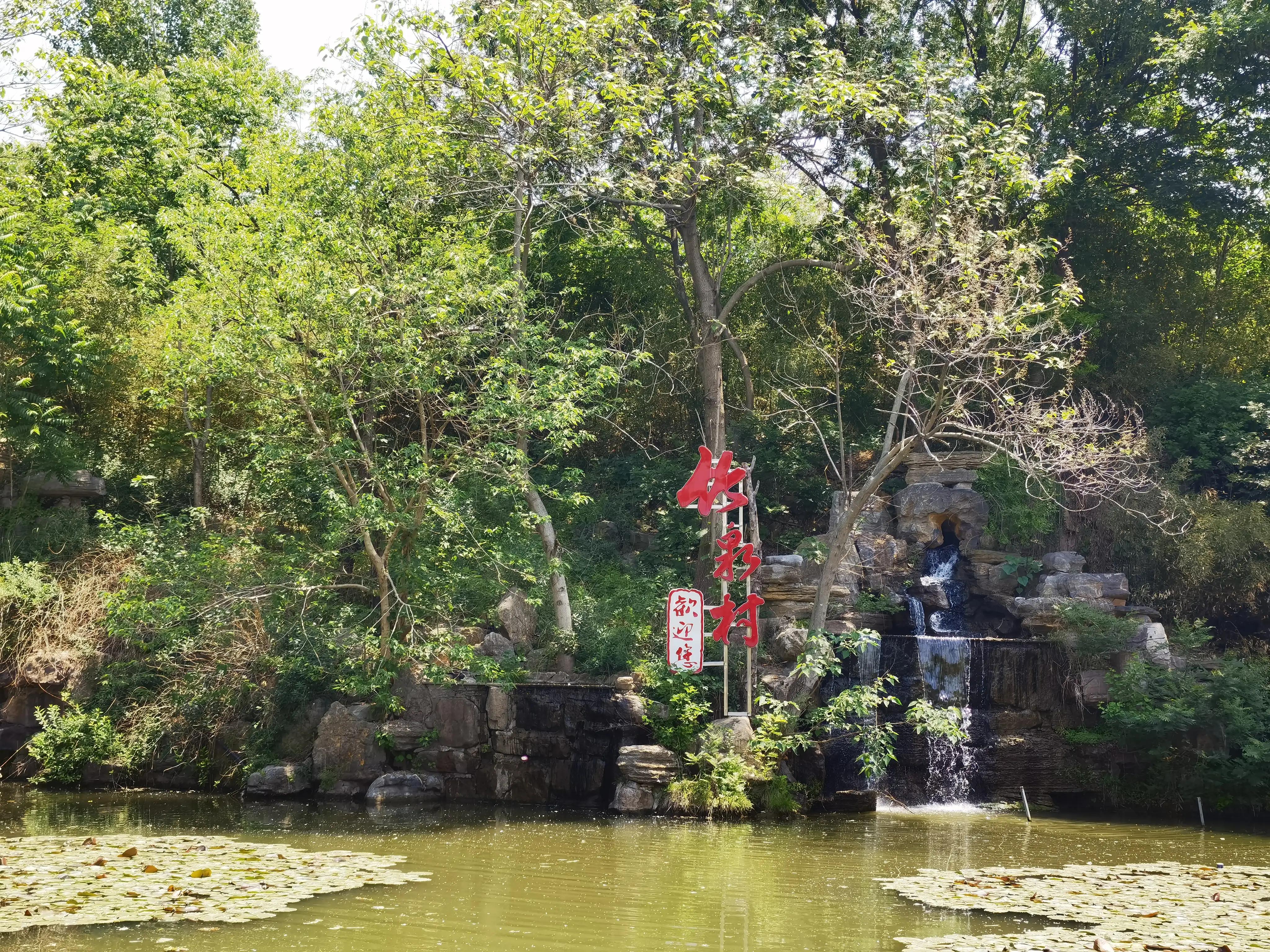 山东自驾游竹林小镇,五一自驾游推荐洞林湖