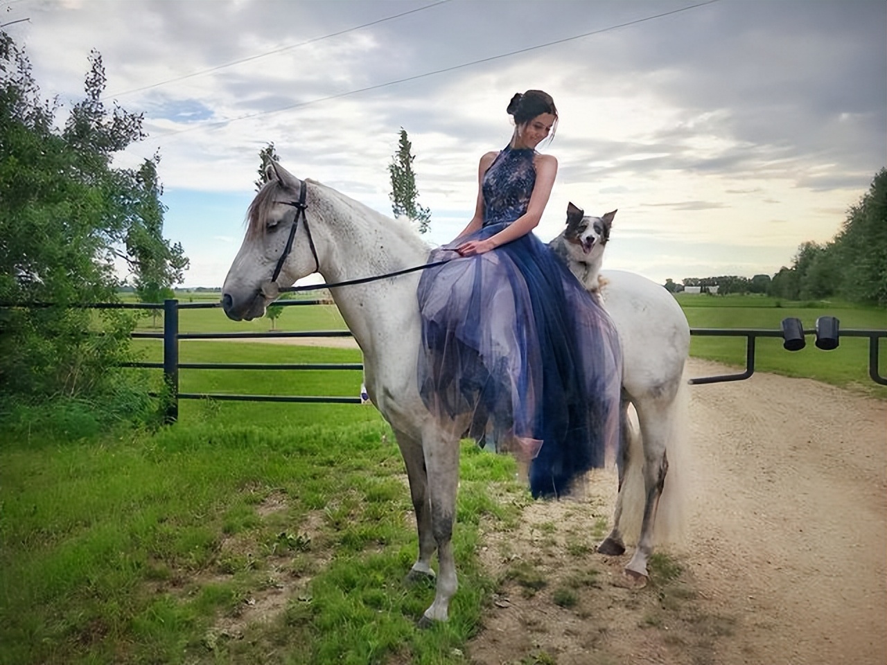 边牧和澳牧的混血狗狗,漂亮狗狗澳牧