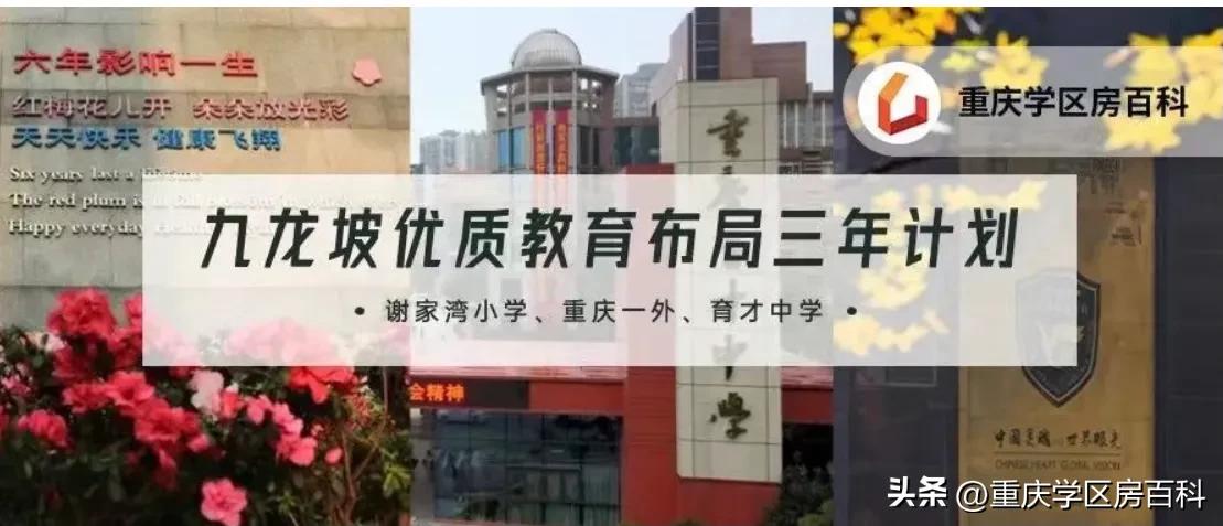 谢家湾小学本部和分校区别,谢家湾小学老校区和华润校区